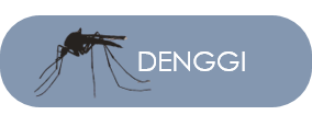 Portal Denggi